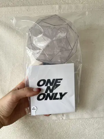 LIVETOUR2025 ||: ONE N' ONLY :|| 공식 응원봉
