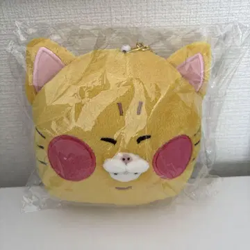 우타이테 아라키 라프테 파스케이스