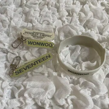 seventeen 세븐틴 right here 캡슐 토이 원우 히포치