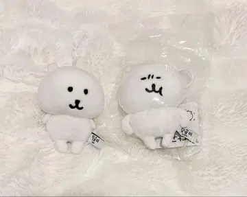한국 한정 나가노의 곰 마스코트