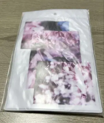 사쿠라자카46 몇 살 때로 돌아가고 싶어? 브로마이드 홀더