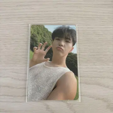 seventeen social club 호시