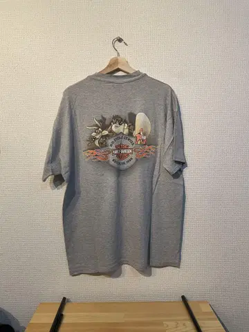 Harley-Davidson Born Wild 티셔츠 XL 그레이