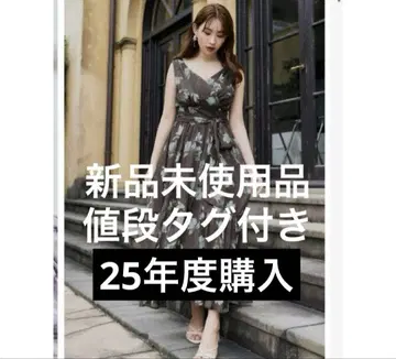 herlipto 아네모네 캐시코르 롱 드레스