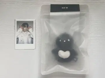 THE BOYZ NEW 뉴*봉제 인형 ( 덤 포함 )