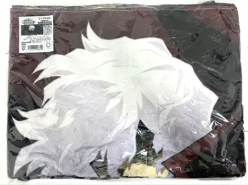 히로아카 UA전 시가라키 토무라 빅 타월