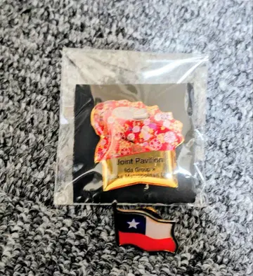 이이다 그룹 핀 배지 덤 포함 칠레 국기 핀 배지