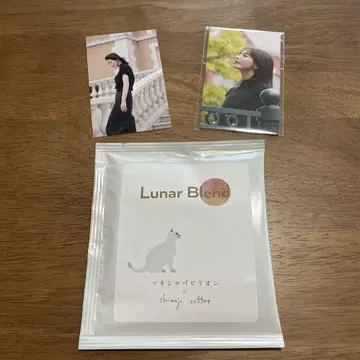 츠키시로 파빌리온 츠키시로 카나토 사진 드립 커피 세트