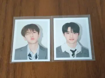 EXO 시그리 2024 증명사진 백도 세트