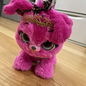 선물 반려동물