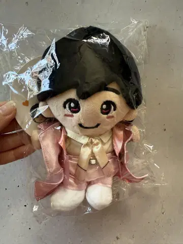 미치에다 슌스케 봉제 인형