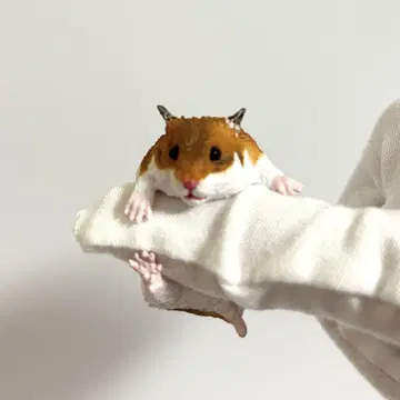 손가락 마키 컬렉션 햄스터
