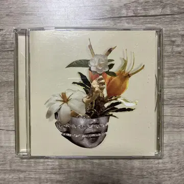 KOHH 치자 초회 한정판