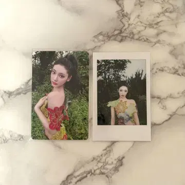 닌닌