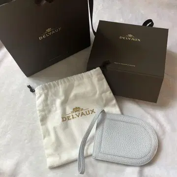 DELVAUX 라이트 블루 프래그먼트 케이스