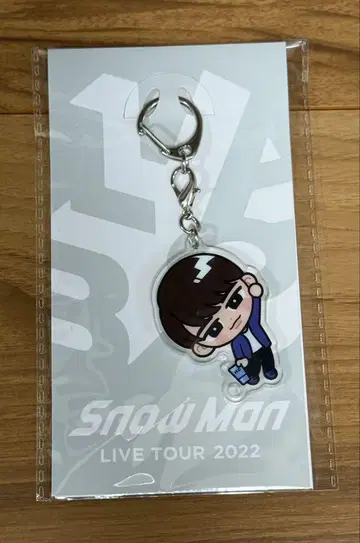 Snow Man 와타나베 쇼타 스노치루 교수형 시리즈 아크릴 키링