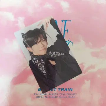초특급 NINE LIVES 완전 생산 한정판 트레이딩 카드 료가
