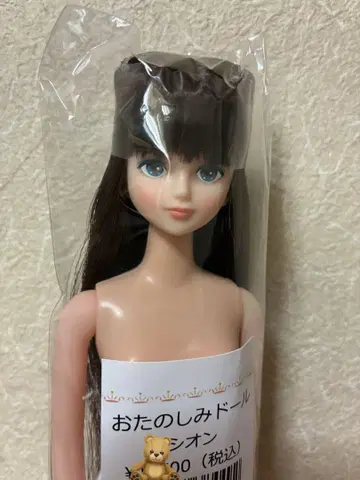 리카짱 캐슬 시온