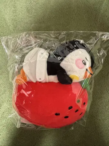 LEE JUNHO 준호 FAN-CON 굿즈 딸기 백참