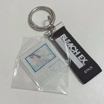 BLEACH EX. 레코드 자켓 키체인 컬렉션 후목 루키아