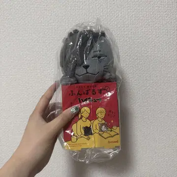 하이큐!! 펀바루즈 쿠로 고양이