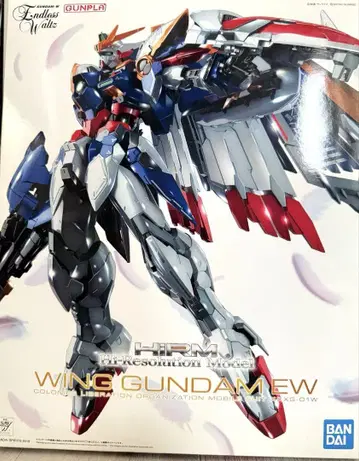 [ 미개봉 ] 하이 레졸루션 모델 1/100 윙 건담 EW