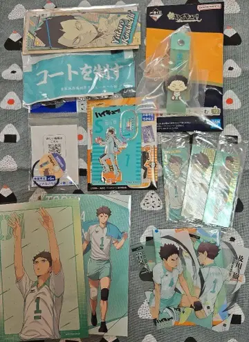 하이큐 아오바죠사이 세트 오이카와 씨 위주