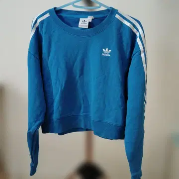 adidas 격변 색상 맨투맨 크롭 스카이블루/화이트 XS