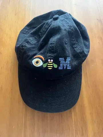 IBM 기업계 캡