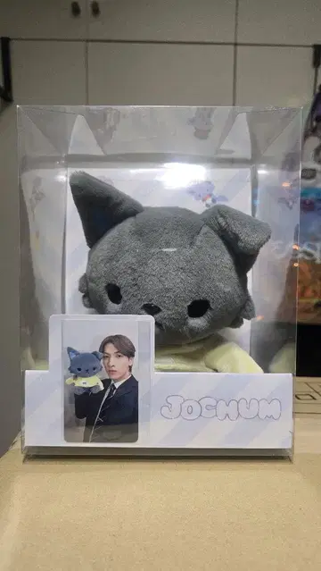 제오참 Jochum 고양이 귀 봉제 인형 사진 카드 포함