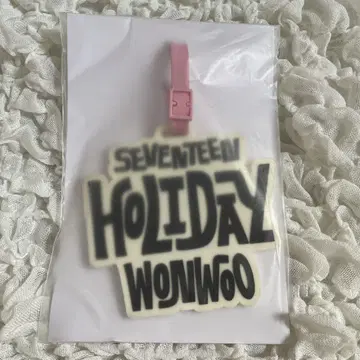 seventeen 세븐틴 세부치 holiday 러기지 택 원우