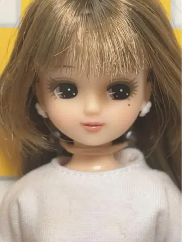 리카짱 캐슬 2021년 오리지널 컬렉션 모델 / 커스텀 리카짱
