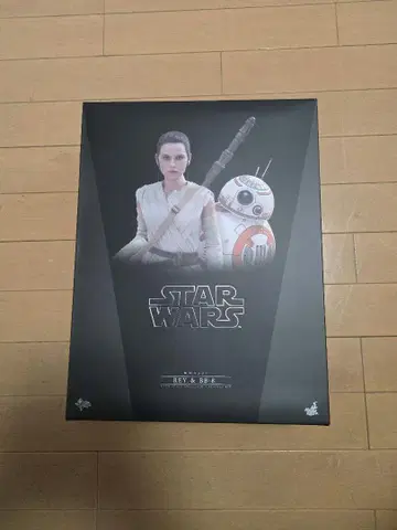 핫토이즈 스타 워즈 레이