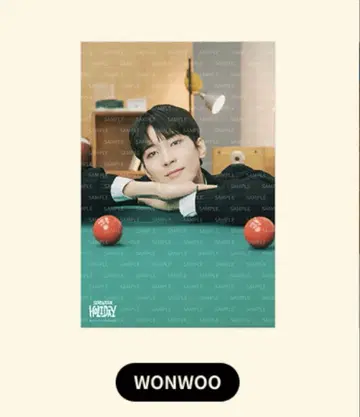 SEVENTEEN HOLIDAY 원우 패브릭 포스터