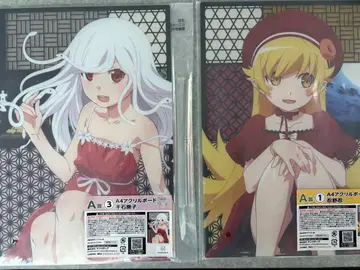 A4 아크릴 보드 센고쿠 나데코 오시노 시노부