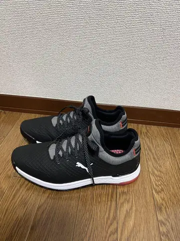 골프화 여성용 푸마 25cm