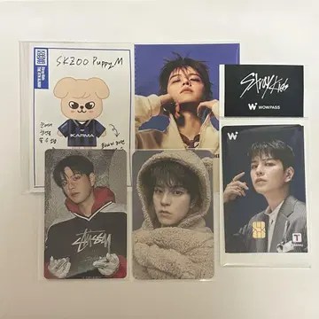Stray Kids KARMA FANS 럭키 드로우 wowpass 승민