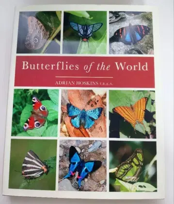 Adrian Hoskins Butterflies of the World