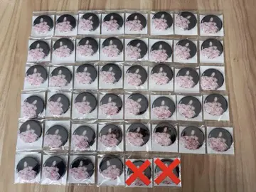 스토푸리 사토미군 S'S 2nd 풀 앨범 특전 캔뱃지 실사