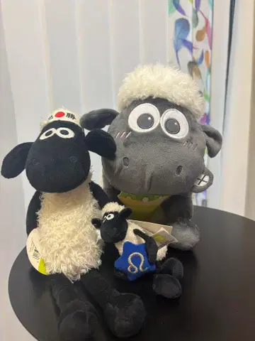 선착순 숀더쉽 3세트