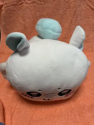 모몽가 약 30cm