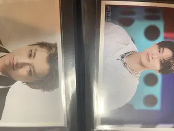 초특급 알로하 브로마이드