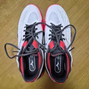Mizuno 웨이브 엔포스 투어 테니스화