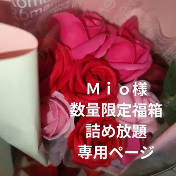 수량 한정 복주머니 [ 에어 소파 ]