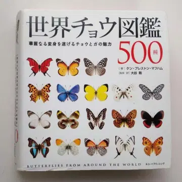 켄 프레스턴 마프햄 세계 나비 도감 500종