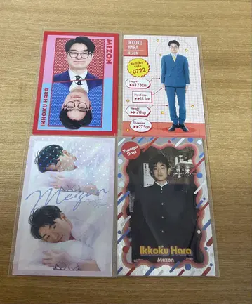 요시모토 코레카 메종 하라 잇코쿠