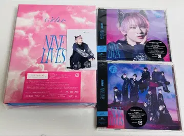 초특급 NINE LIVES 솔로반 트레이딩 카드 슈야 완전 생산 한정판