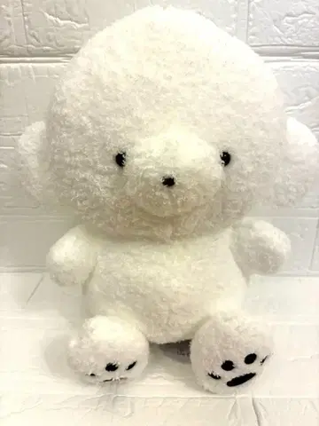 죠세마루 BIG 봉제 인형 라운드 원 한정판 죠세마루