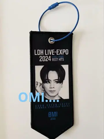 OMI 미니 태피스트리 토사카 히로오미