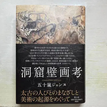 동굴 벽화 고찰 이가라시 잔느